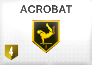 Acrobat 배지