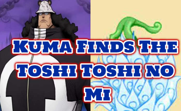 Kuma Finds The Toshi Toshi no Mi