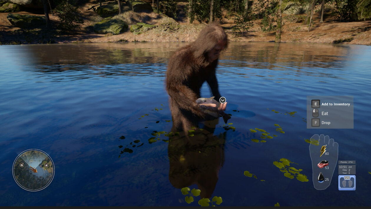 Bigfoot Life 생존에서는 사람들을 피해야 합니다.