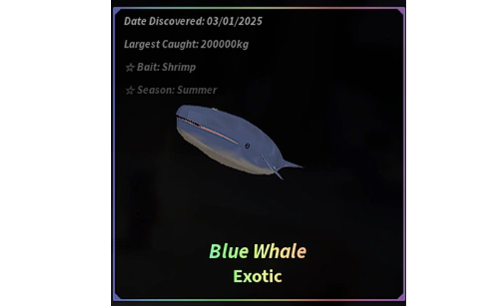 Fisch에서 Moby와 Blue Whale을 잡으십시오