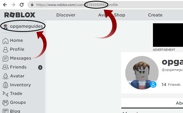 Roblox 사용자 ID(2026)를 얻거나 찾는 방법 - PC & 모바일 가이드 13 Roblox 사용자 ID