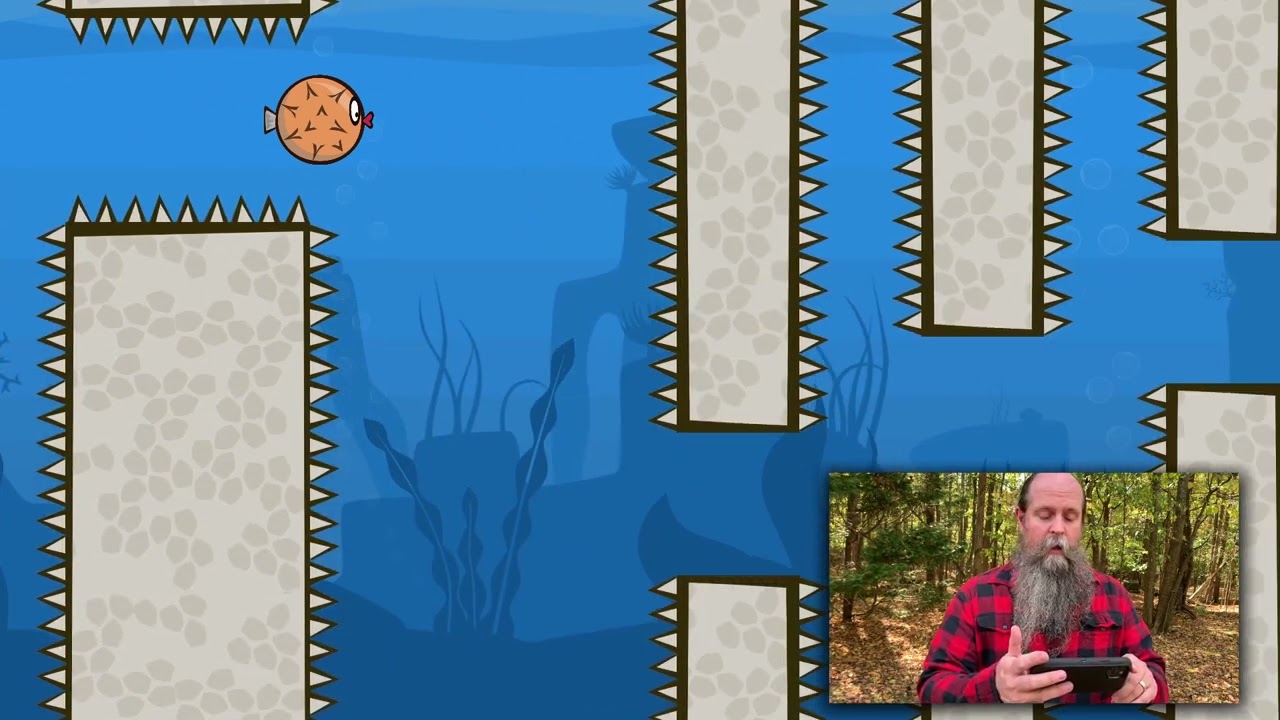 Blow Fish Music Quiz - In Forest