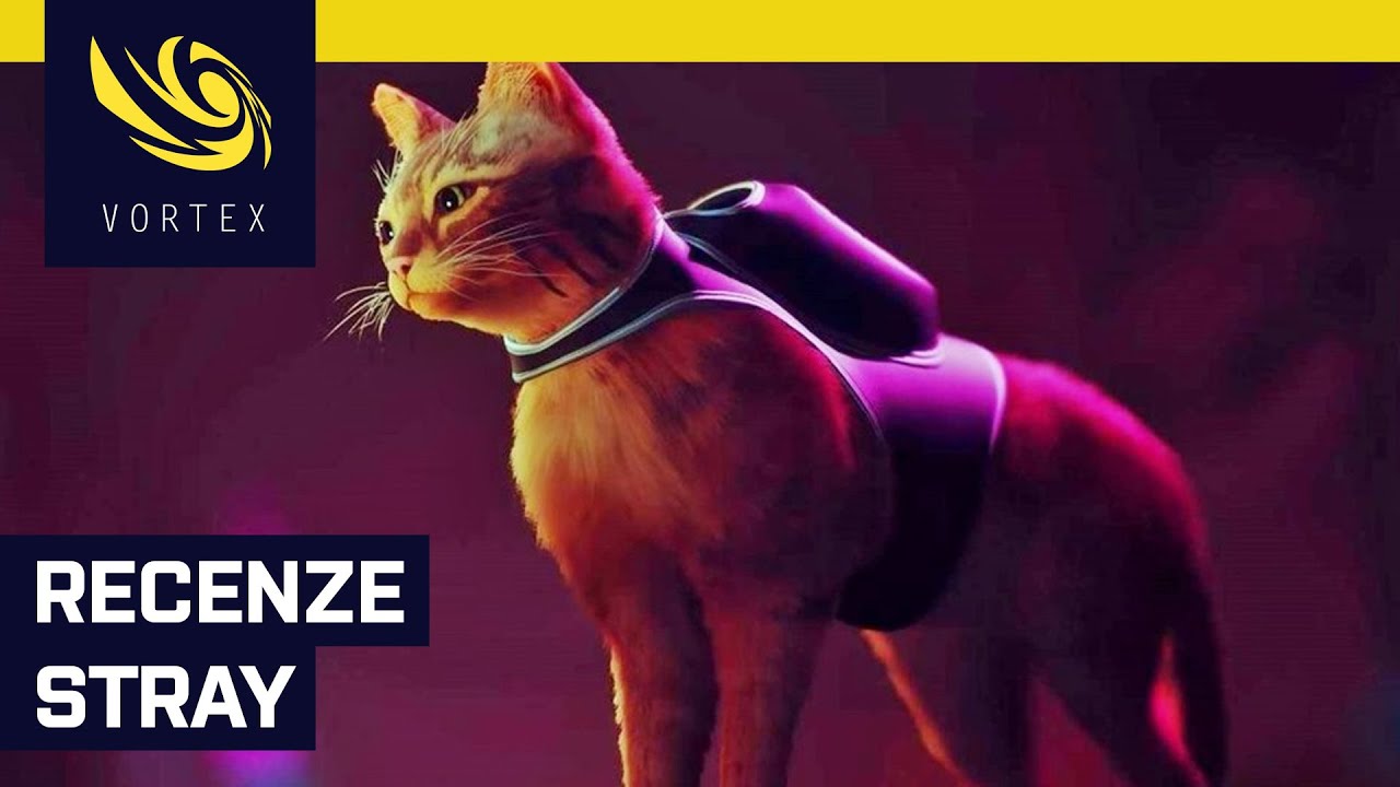 Recenze Stray. Adventura, kterou prožijete jako kočka, je překvapivě povedená a uhrančivá na pohled