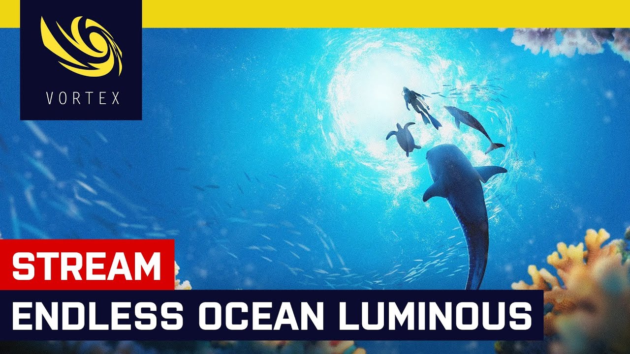 Hrajeme živě Endless Ocean Luminous. Podívejte se s námi na nové podvodní dobrodružství pro Switch