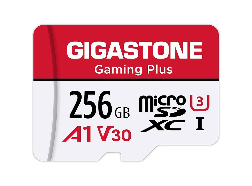 Gigastone 256GB 마이크로 SD 카드 검토