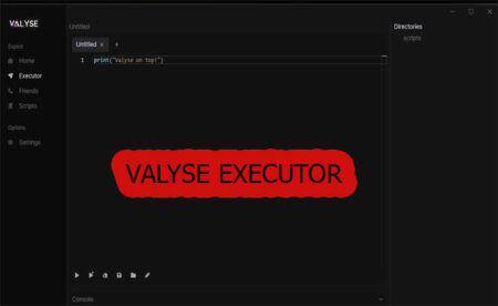 Valyse Executor