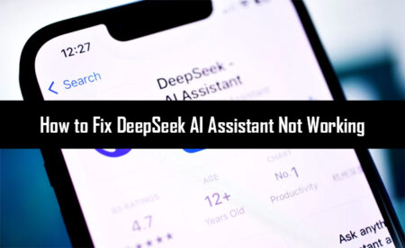 Deepseek AI 조수는 작동하지 않습니다