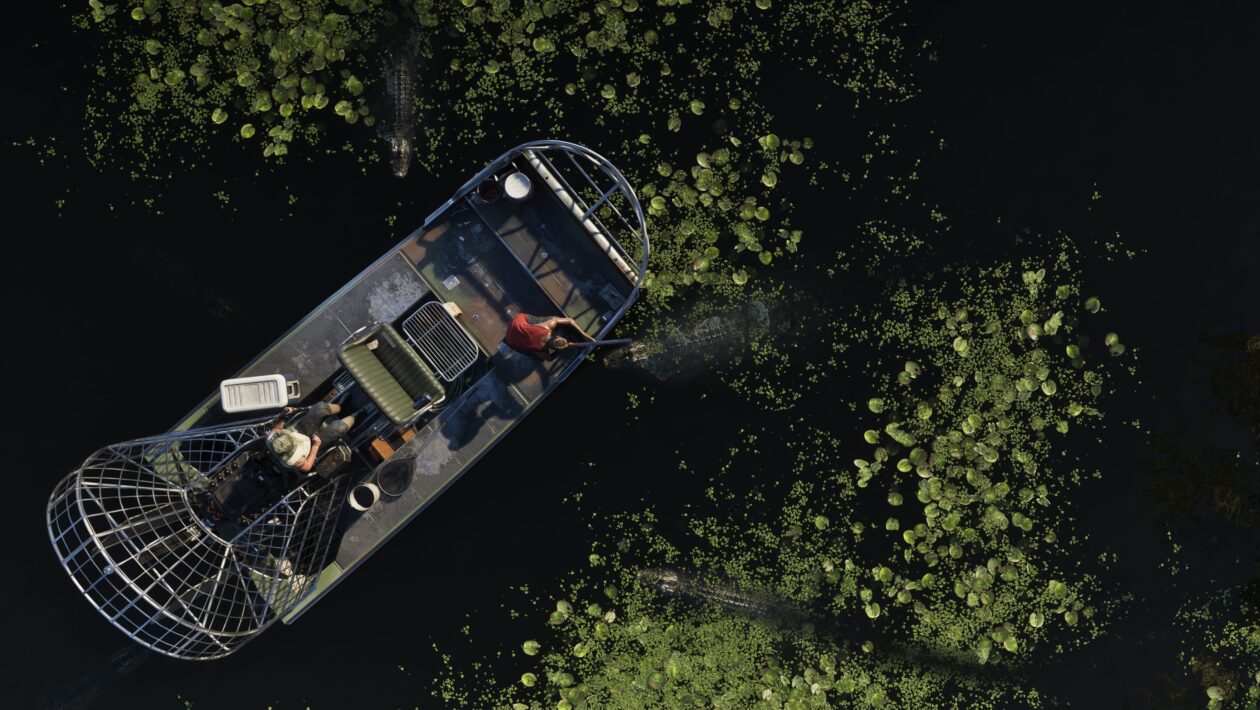 Grand Theft Auto VI, Rockstar Games, Old -New 사람들이 어떻게 생겼는지 확인하십시오.