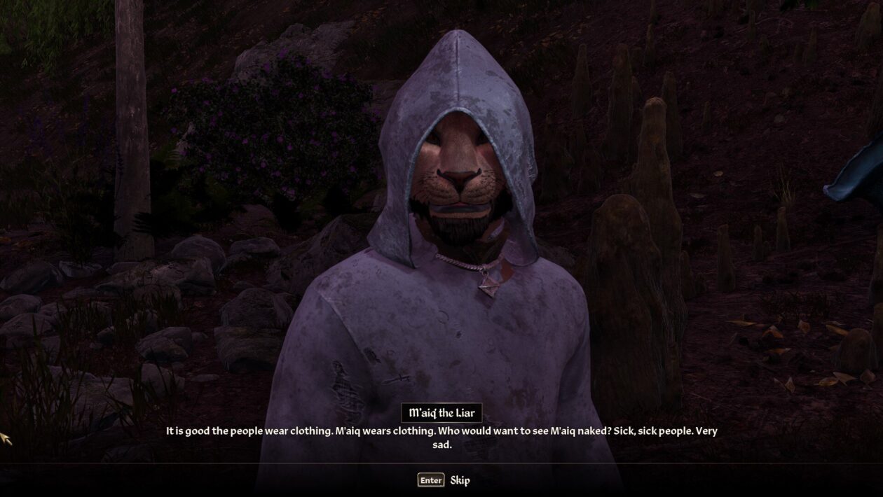 Elder Scrolls IV : Oblivion Remastered, Bethesda Softworks, The Elder Scrolls IV : Oblivion Remastered
