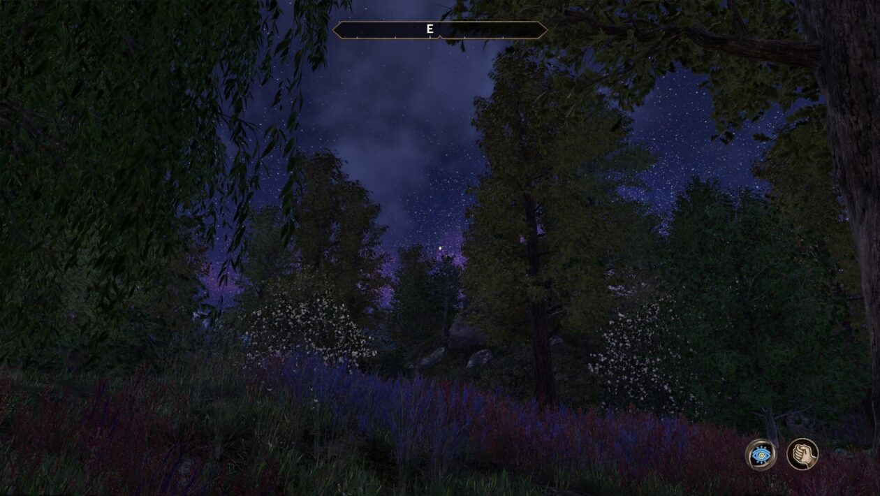Elder Scrolls IV : Oblivion Remastered, Bethesda Softworks, The Elder Scrolls IV : Oblivion Remastered