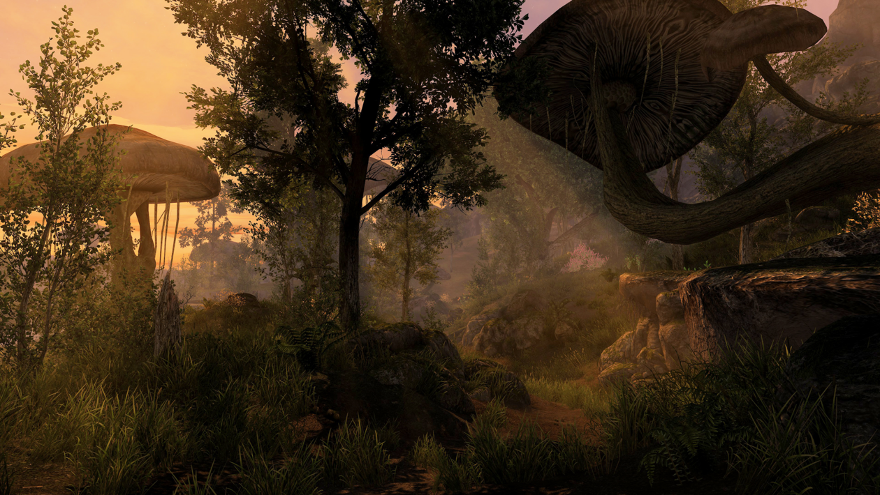 장로 스크롤 : Skyrim, Bethesda Softworks, Skywind는 체코 자막과 함께 새로운 게임 플레이를 자랑합니다.