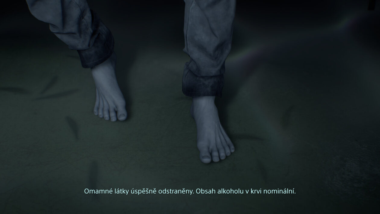 데스 스트랜드 2 : 해변에서 소니 대화식 엔터테인먼트, Death Stranding 2 : On the Beach