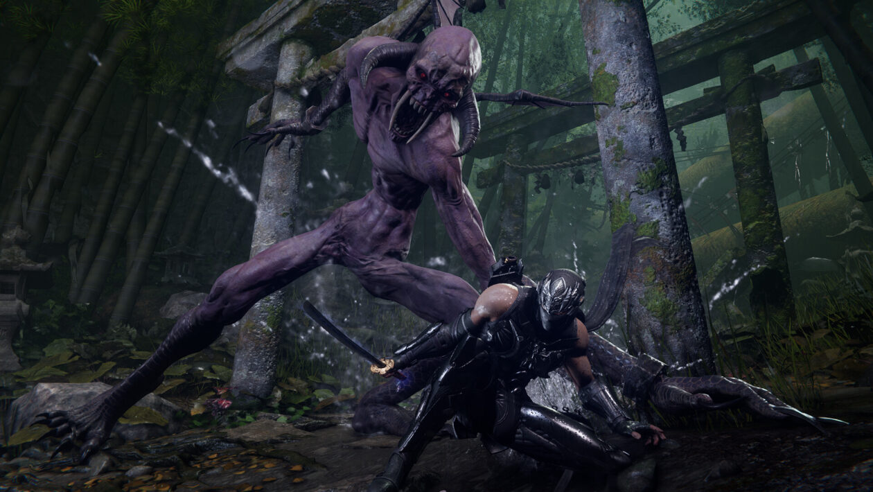 Ninja Gaiden 4, Xbox Game Studios, 저자는 Ninja Gaiden 4가 얼마나 큰지 공개했습니다.